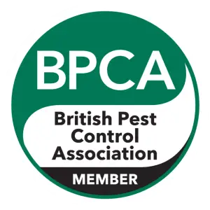 BPCA Member